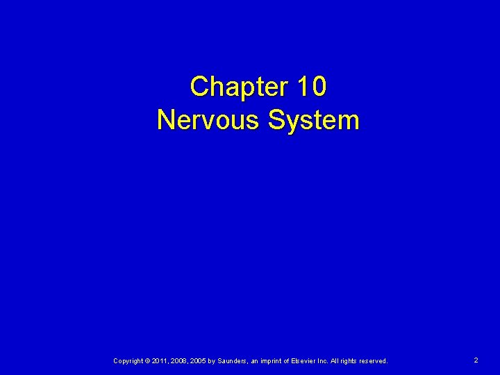 Chapter 10 Nervous System Copyright © 2011, 2008, 2005 by Saunders, an imprint of