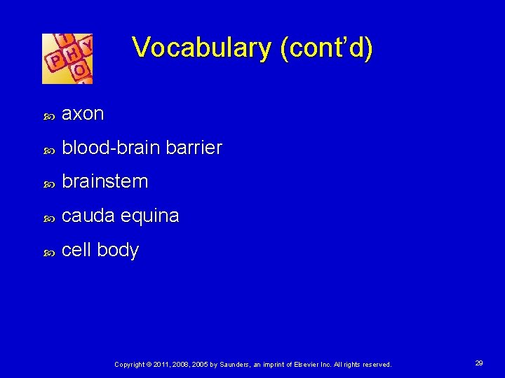 Vocabulary (cont’d) axon blood-brain barrier brainstem cauda equina cell body Copyright © 2011, 2008,