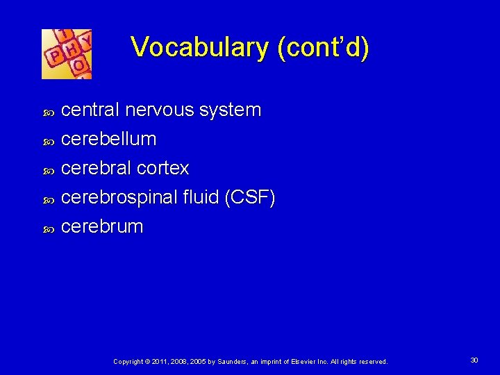 Vocabulary (cont’d) central nervous system cerebellum cerebral cortex cerebrospinal fluid (CSF) cerebrum Copyright ©