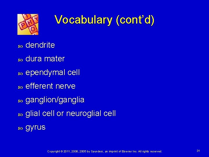 Vocabulary (cont’d) dendrite dura mater ependymal cell efferent nerve ganglion/ganglial cell or neuroglial cell