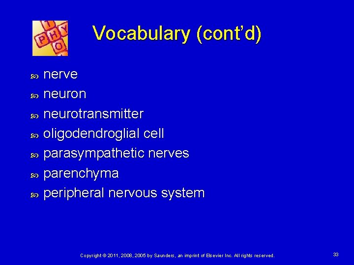 Vocabulary (cont’d) nerve neuron neurotransmitter oligodendroglial cell parasympathetic nerves parenchyma peripheral nervous system Copyright