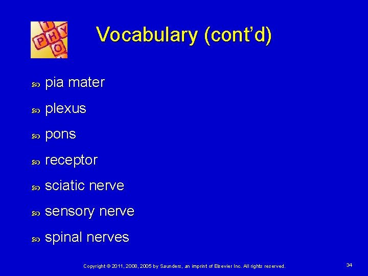 Vocabulary (cont’d) pia mater plexus pons receptor sciatic nerve sensory nerve spinal nerves Copyright