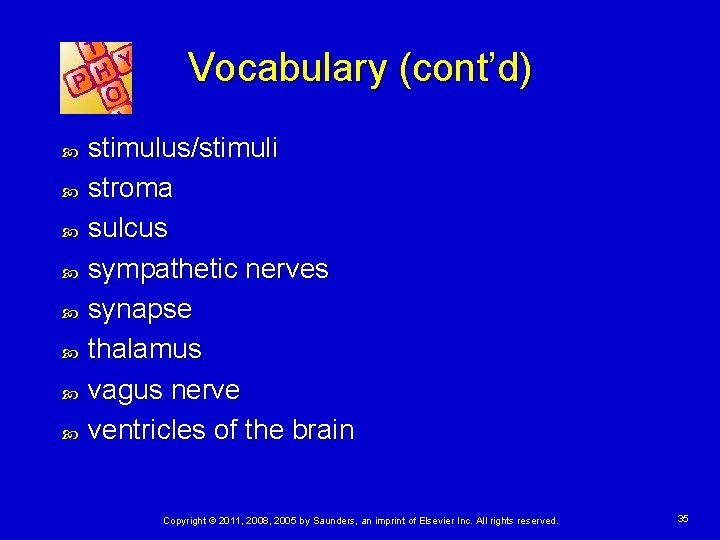 Vocabulary (cont’d) stimulus/stimuli stroma sulcus sympathetic nerves synapse thalamus vagus nerve ventricles of the