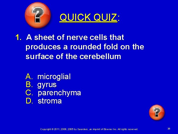 QUICK QUIZ: 1. A sheet of nerve cells that produces a rounded fold on