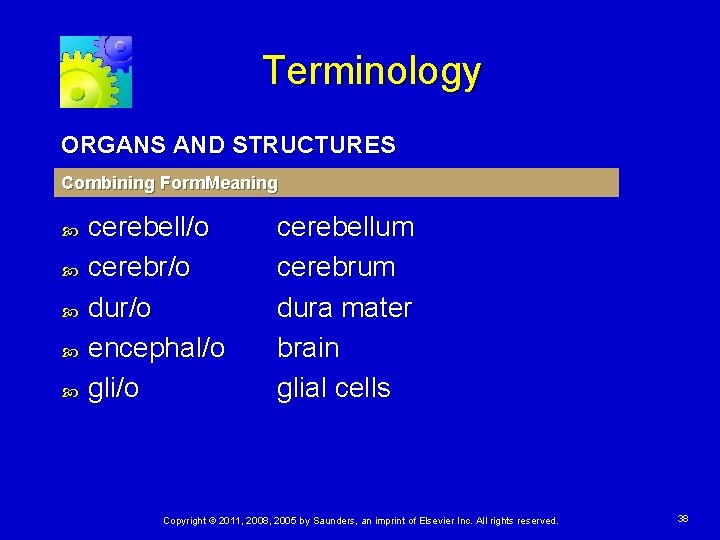 Terminology ORGANS AND STRUCTURES Combining Form. Meaning cerebell/o cerebr/o dur/o encephal/o gli/o cerebellum cerebrum