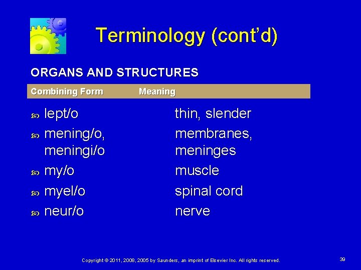 Terminology (cont’d) ORGANS AND STRUCTURES Combining Form lept/o mening/o, meningi/o myel/o neur/o Meaning thin,