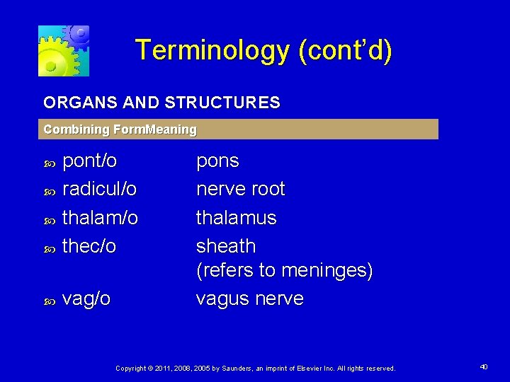 Terminology (cont’d) ORGANS AND STRUCTURES Combining Form. Meaning pont/o radicul/o thalam/o thec/o vag/o pons