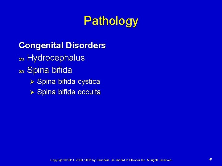 Pathology Congenital Disorders Hydrocephalus Spina bifida cystica Ø Spina bifida occulta Ø Copyright ©