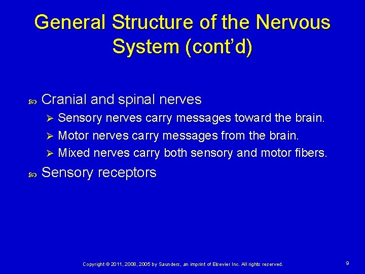 General Structure of the Nervous System (cont’d) Cranial and spinal nerves Sensory nerves carry