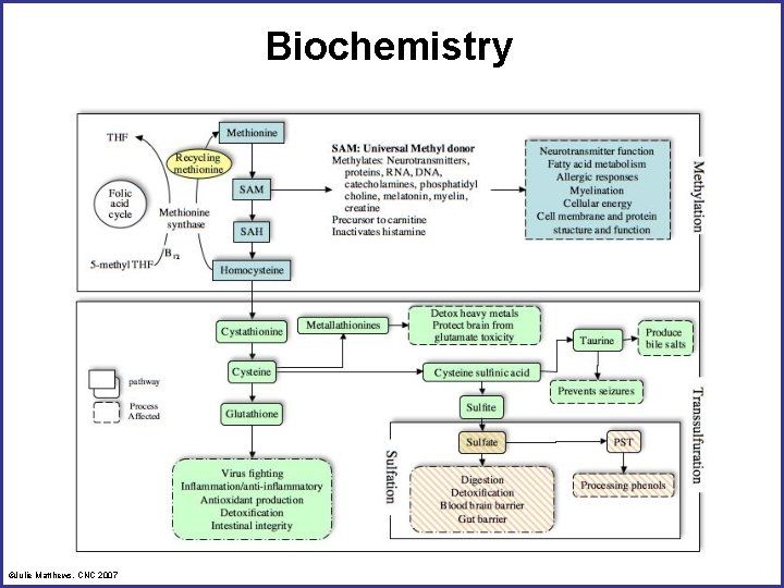 Biochemistry ©Julie Matthews, CNC 2007 