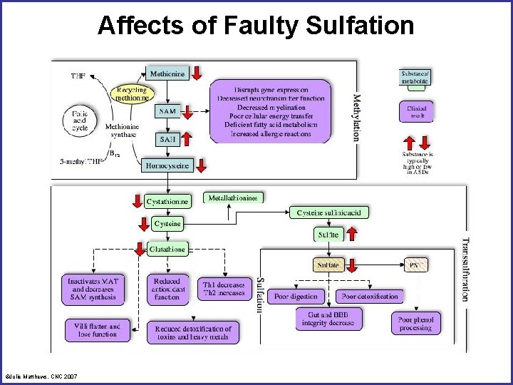 Affects of Faulty Sulfation ©Julie Matthews, CNC 2007 