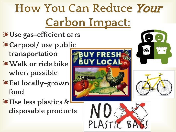 How You Can Reduce Your Carbon Impact: ❧Use gas-efficient cars ❧Carpool/ use public transportation