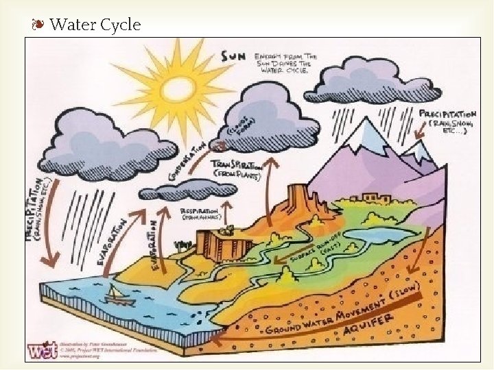 ❧ Water Cycle ❧ 