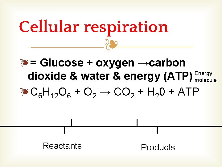 Cellular respiration ❧ ❧= Glucose + oxygen →carbon Energy dioxide & water & energy