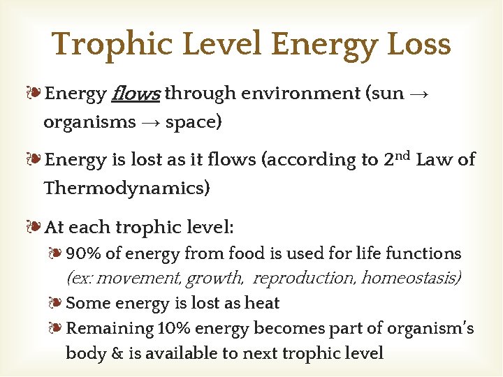 Trophic Level Energy Loss ❧Energy flows through environment (sun → organisms → space) ❧Energy