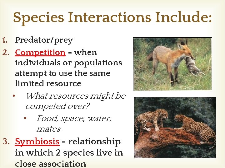 Species Interactions Include: 1. Predator/prey 2. Competition = when individuals or populations attempt to