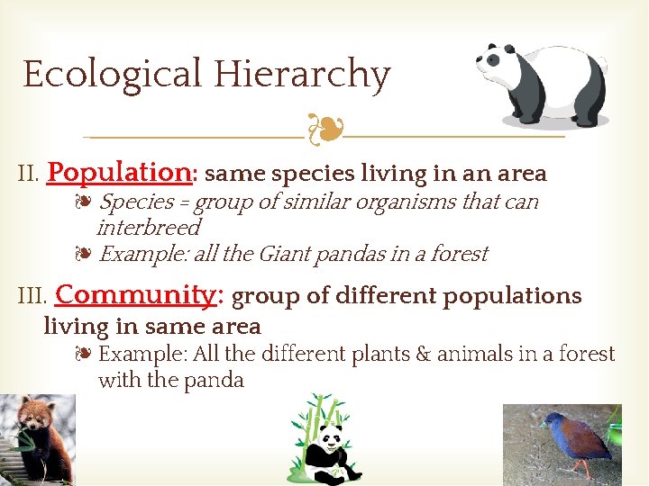 Ecological Hierarchy ❧ II. Population: same species living in an area ❧ Species =