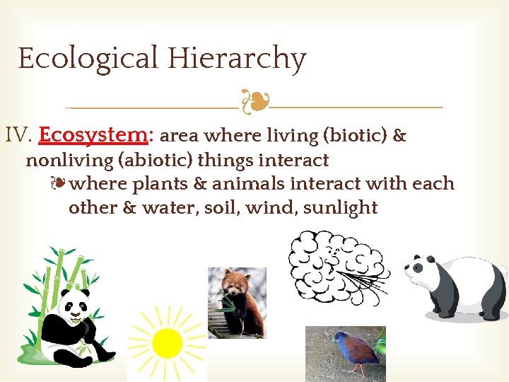Ecological Hierarchy ❧ IV. Ecosystem: area where living (biotic) & nonliving (abiotic) things interact Ecological Hierarchy ❧ IV. Ecosystem: area where living (biotic) & nonliving (abiotic) things interact