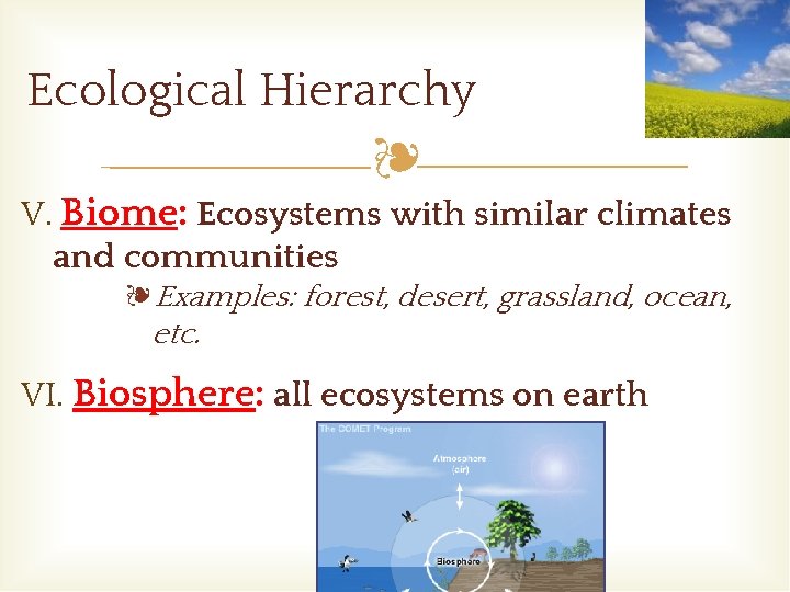 Ecological Hierarchy ❧ V. Biome: Ecosystems with similar climates and communities ❧Examples: forest, desert,