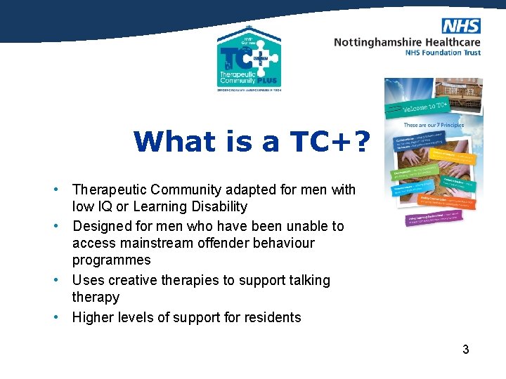 What is a TC+? • Therapeutic Community adapted for men with low IQ or