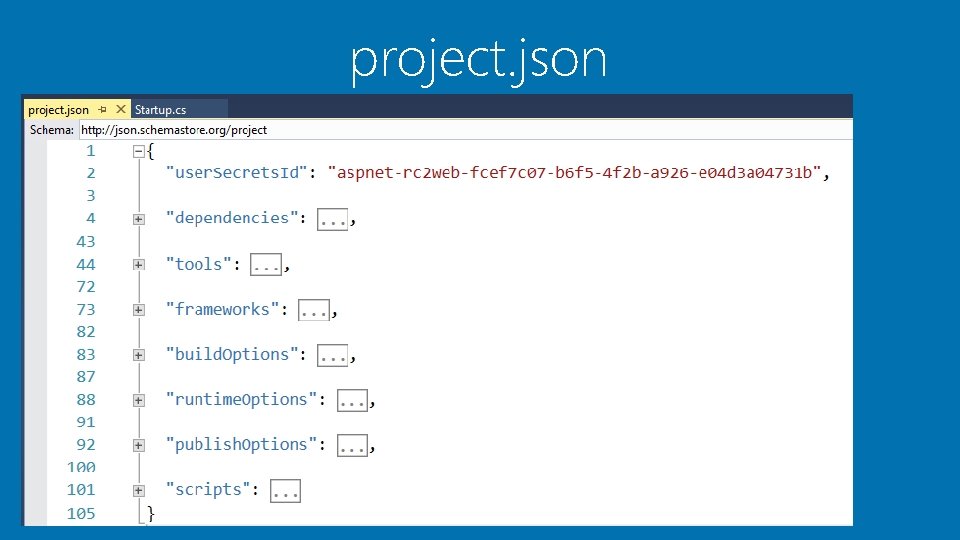 project. json project. json