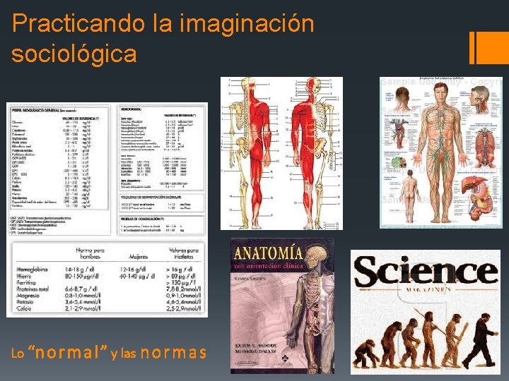 Practicando la imaginación sociológica Lo “n o r m a l ” y las