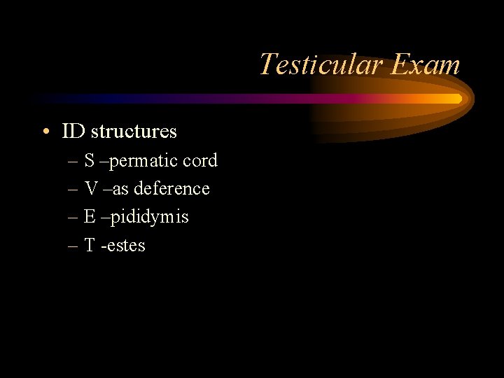 Testicular Exam • ID structures – S –permatic cord – V –as deference –