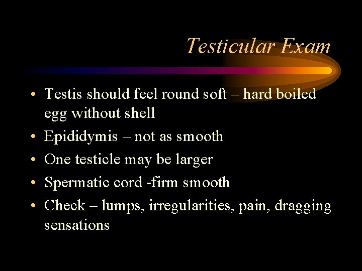 Testicular Exam • Testis should feel round soft – hard boiled egg without shell