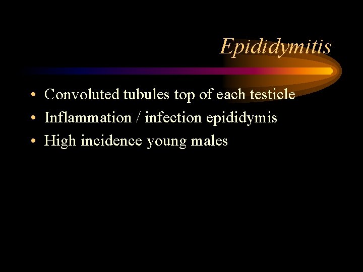 Epididymitis • Convoluted tubules top of each testicle • Inflammation / infection epididymis •