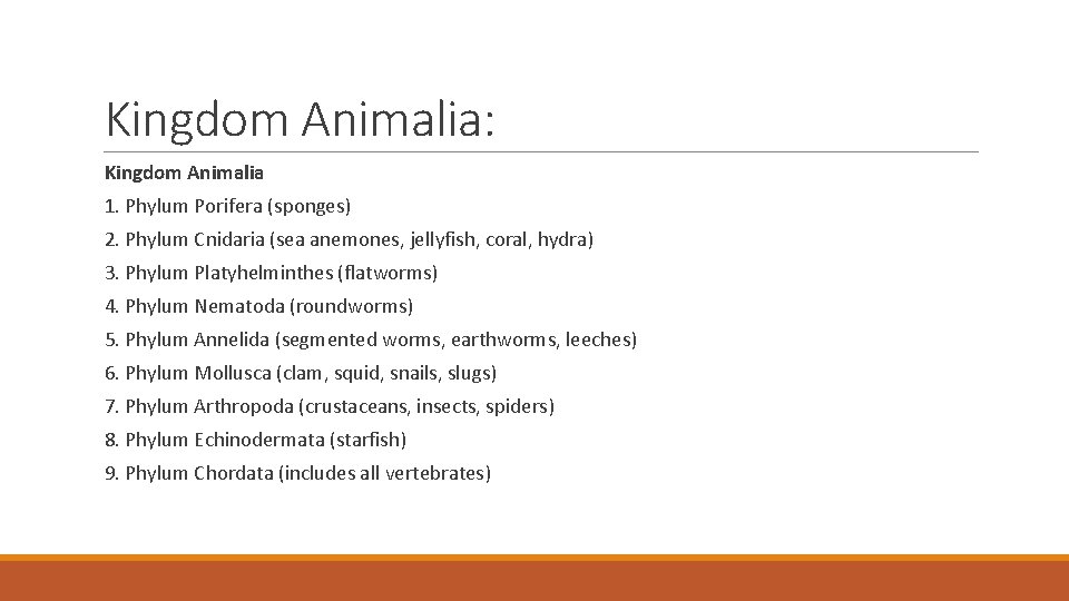 Kingdom Animalia: Kingdom Animalia 1. Phylum Porifera (sponges) 2. Phylum Cnidaria (sea anemones, jellyfish, Kingdom Animalia: Kingdom Animalia 1. Phylum Porifera (sponges) 2. Phylum Cnidaria (sea anemones, jellyfish,