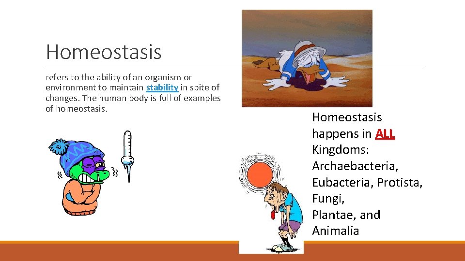 Homeostasis refers to the ability of an organism or environment to maintain stability in Homeostasis refers to the ability of an organism or environment to maintain stability in