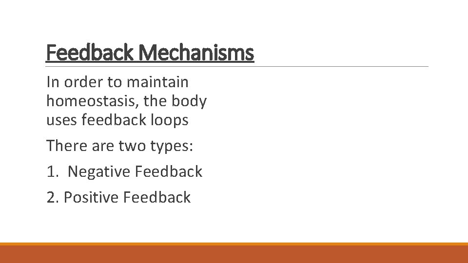 Feedback Mechanisms In order to maintain homeostasis, the body uses feedback loops There are Feedback Mechanisms In order to maintain homeostasis, the body uses feedback loops There are