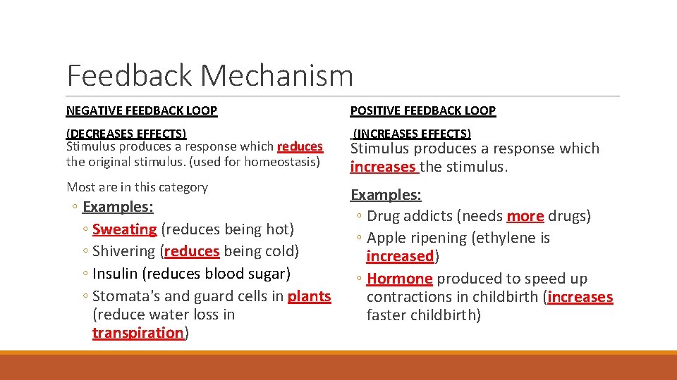 Feedback Mechanism NEGATIVE FEEDBACK LOOP POSITIVE FEEDBACK LOOP (DECREASES EFFECTS) (INCREASES EFFECTS) Stimulus produces Feedback Mechanism NEGATIVE FEEDBACK LOOP POSITIVE FEEDBACK LOOP (DECREASES EFFECTS) (INCREASES EFFECTS) Stimulus produces