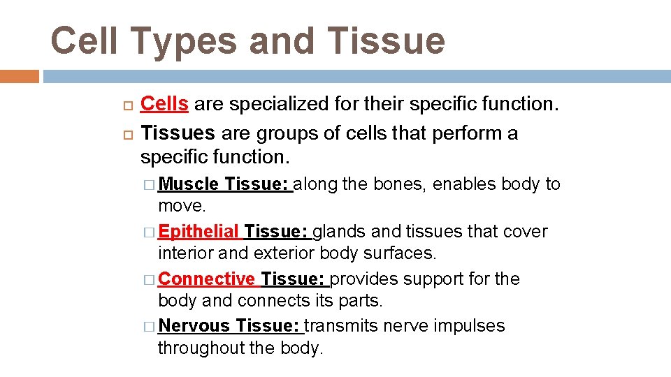 Cell Types and Tissue Cells are specialized for their specific function. Tissues are groups Cell Types and Tissue Cells are specialized for their specific function. Tissues are groups