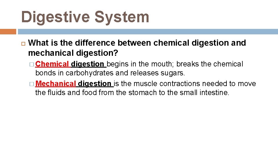 Digestive System What is the difference between chemical digestion and mechanical digestion? � Chemical Digestive System What is the difference between chemical digestion and mechanical digestion? � Chemical