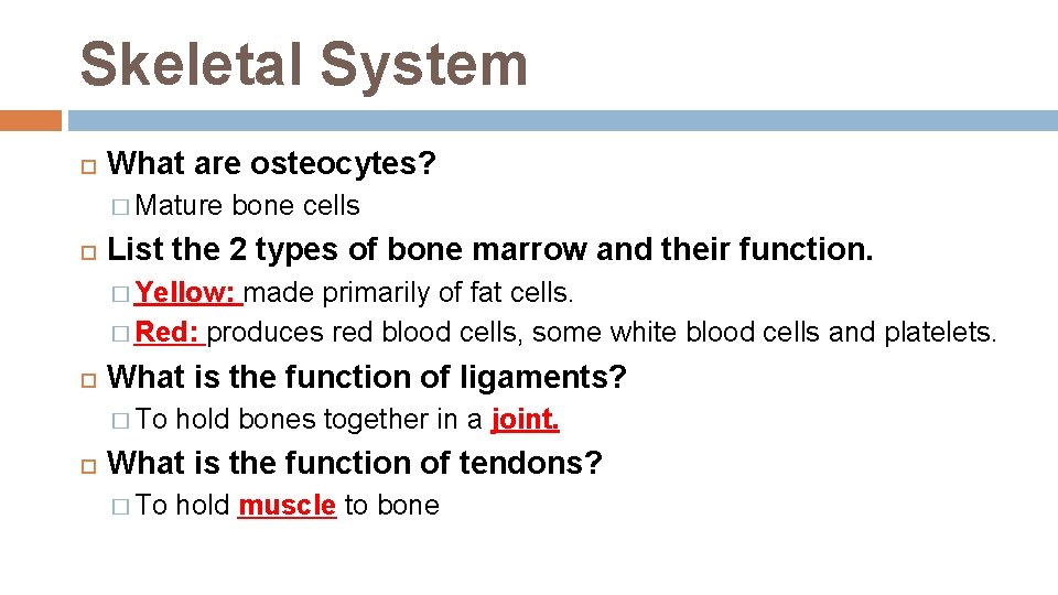 Skeletal System What are osteocytes? � Mature bone cells List the 2 types of Skeletal System What are osteocytes? � Mature bone cells List the 2 types of