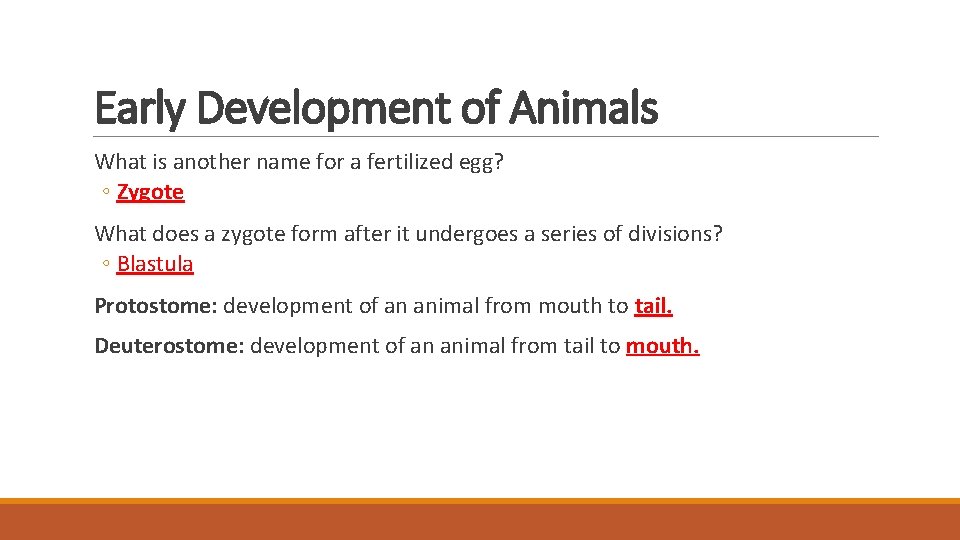 Early Development of Animals What is another name for a fertilized egg? ◦ Zygote Early Development of Animals What is another name for a fertilized egg? ◦ Zygote