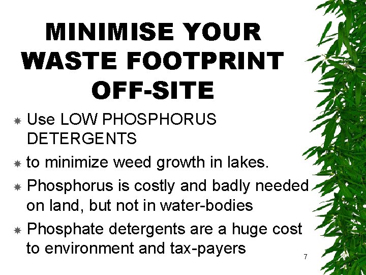 MINIMISE YOUR WASTE FOOTPRINT OFF-SITE Use LOW PHOSPHORUS DETERGENTS to minimize weed growth in