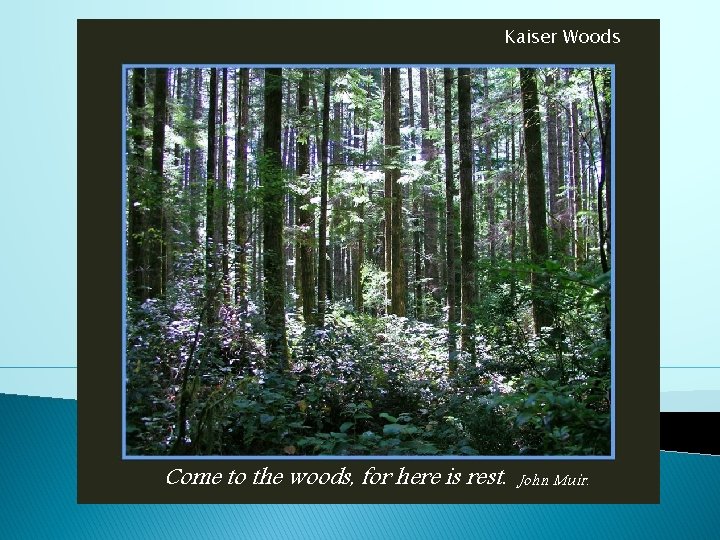 Kaiser Woods Come to the woods, for here is rest. John Muir. 