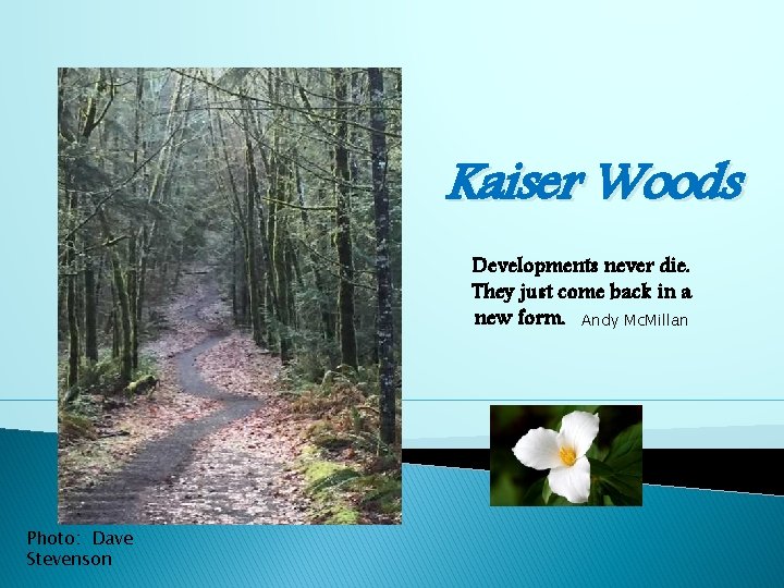 Kaiser Woods Developments never die. They just come back in a new form. Andy