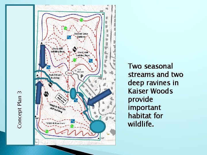 Concept Plan 3 Two seasonal streams and two deep ravines in Kaiser Woods provide