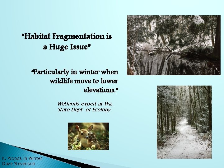 “Habitat Fragmentation is a Huge Issue” “Particularly in winter when wildlife move to lower
