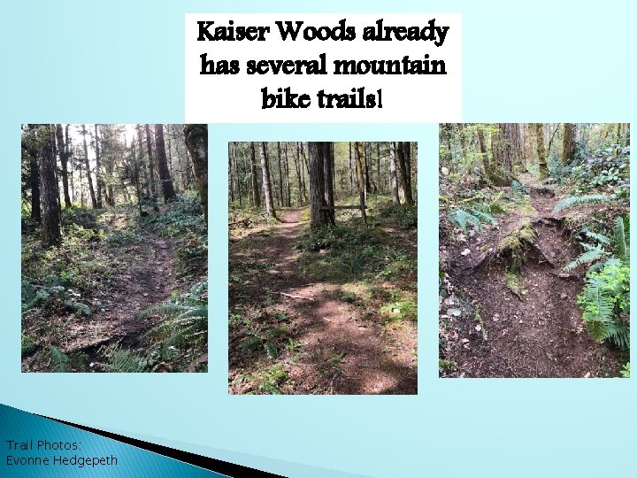 Kaiser Woods already has several mountain bike trails! Trail Photos: Evonne Hedgepeth 