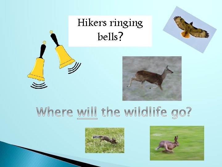 Hikers ringing bells? 