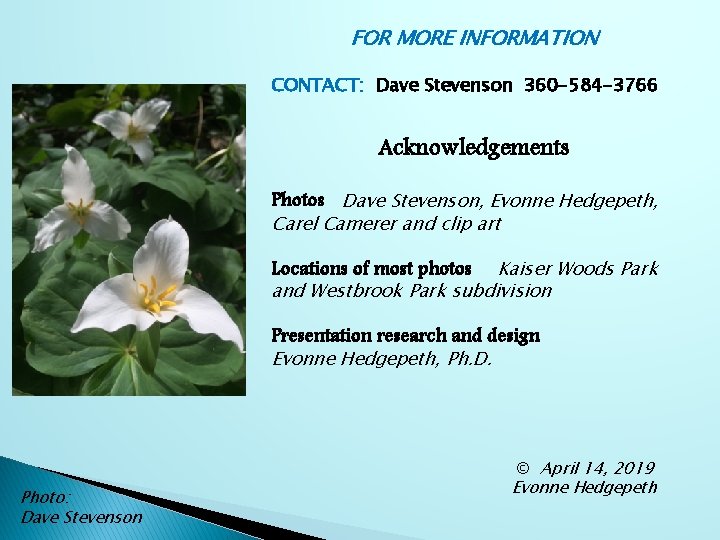 FOR MORE INFORMATION CONTACT: Dave Stevenson 360 -584 -3766 Acknowledgements Photos Dave Stevenson, Evonne