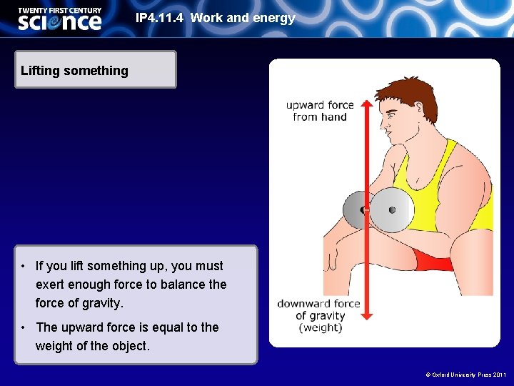 IP 4. 11. 4 Work and energy Lifting something • If you lift something