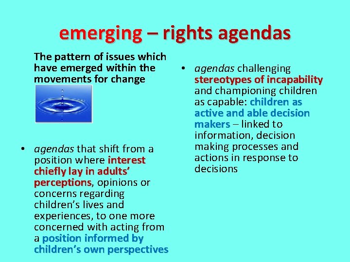 emerging – rights agendas The pattern of issues which have emerged within the movements