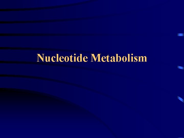 Nucleotide Metabolism 