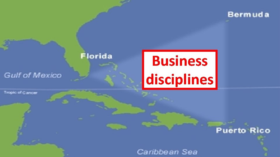 Business disciplines 