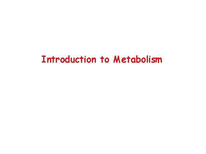 Introduction to Metabolism 